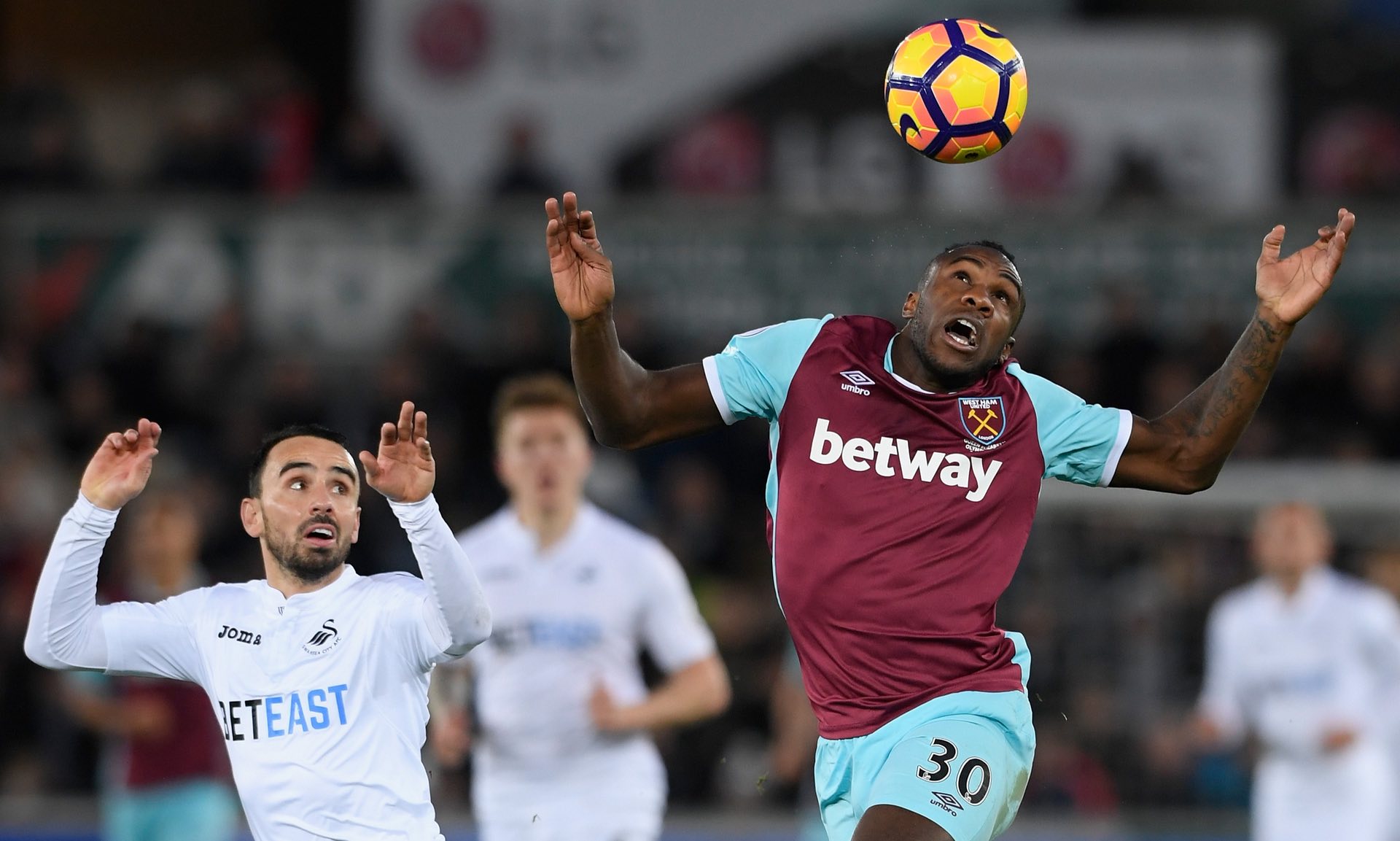 的任何反扑 的任何反扑